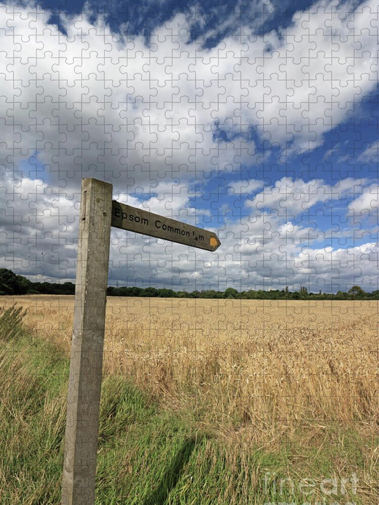 The Way Home English Countryside Jigsaw Puzzle featuring the photograph Through English Countryside by Julia Gavin
