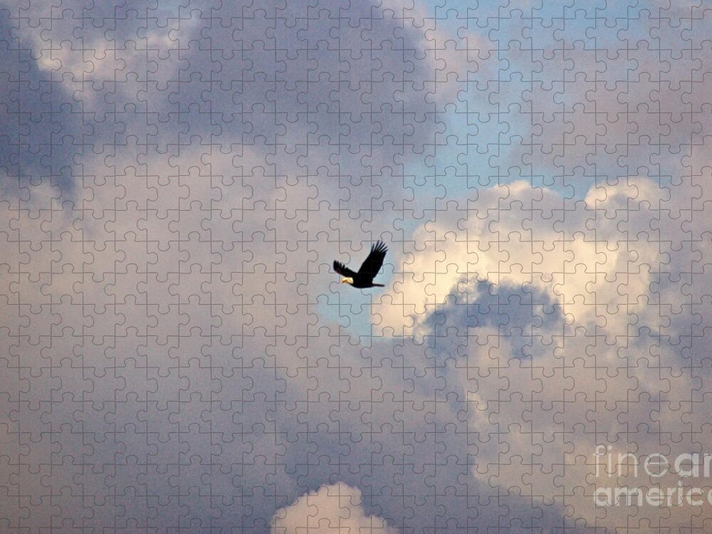 Photography Jigsaw Puzzle featuring the photograph Through Stormy Skies by Sean Griffin