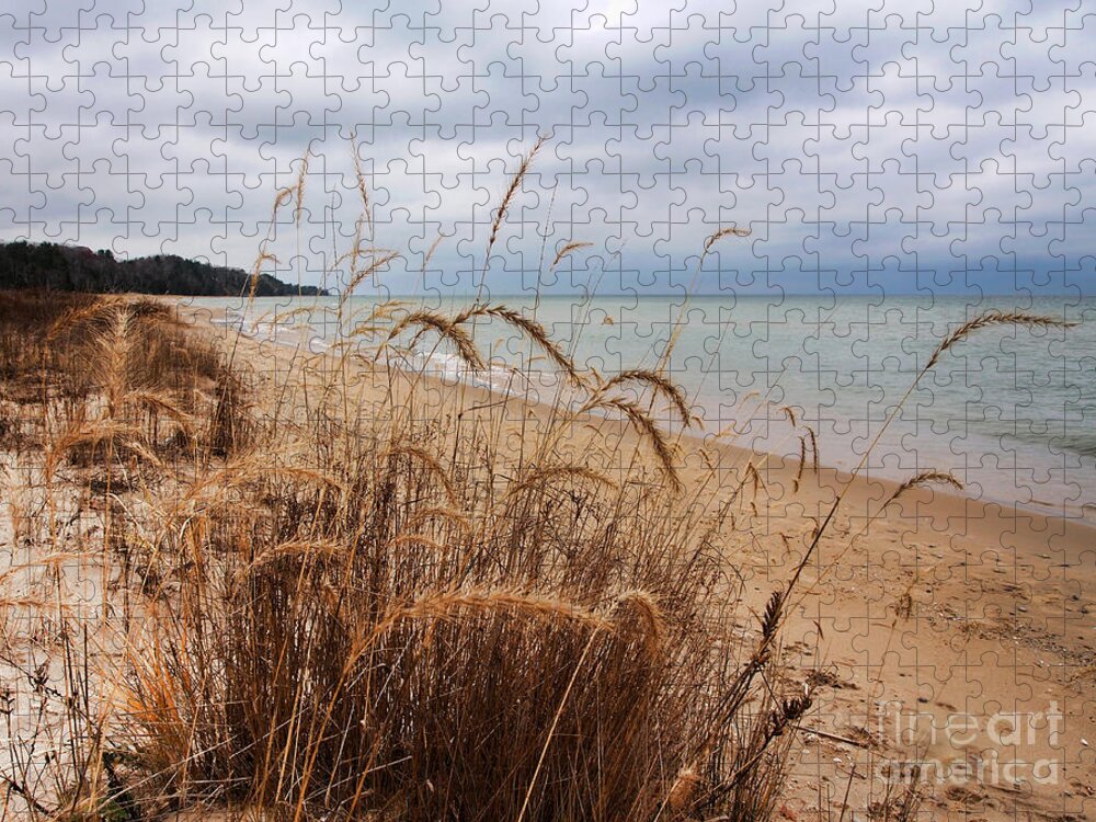Grass Jigsaw Puzzle featuring the photograph Through The Grasses by Terry Doyle