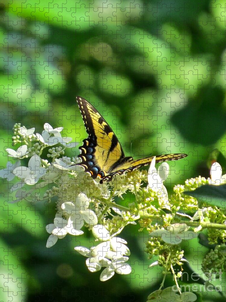 Butterfly Jigsaw Puzzle featuring the photograph Tiger Swallowtail by Nancy Patterson
