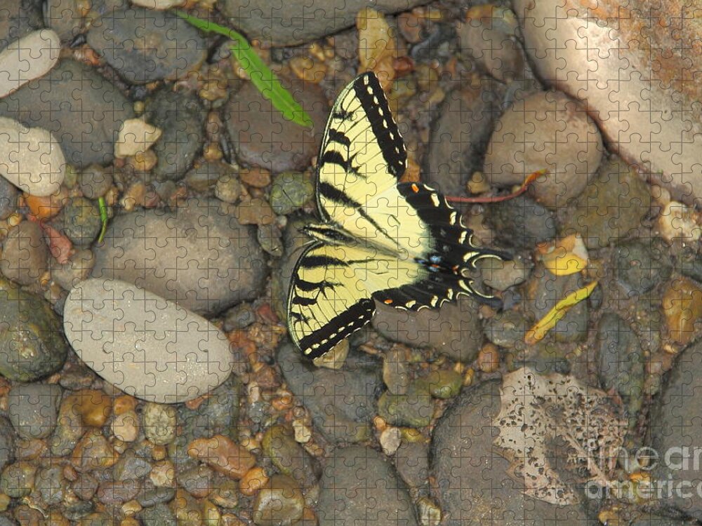 Butterfly Jigsaw Puzzle featuring the photograph Time for a Rest by Allen Nice-Webb