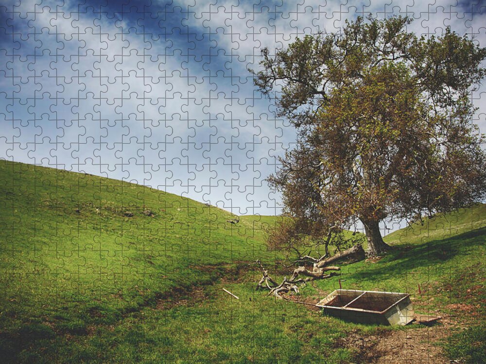 Sunol Ohlone Regional Wilderness Jigsaw Puzzle featuring the photograph To Be Someone by Laurie Search