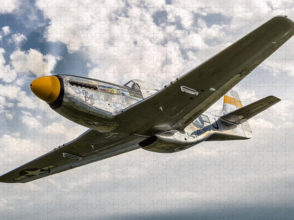 A2a Jigsaw Puzzle featuring the photograph Top Cover by Jay Beckman