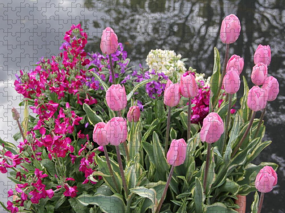 Pink Tulips Jigsaw Puzzle featuring the photograph Top View Planter by Allen Nice-Webb