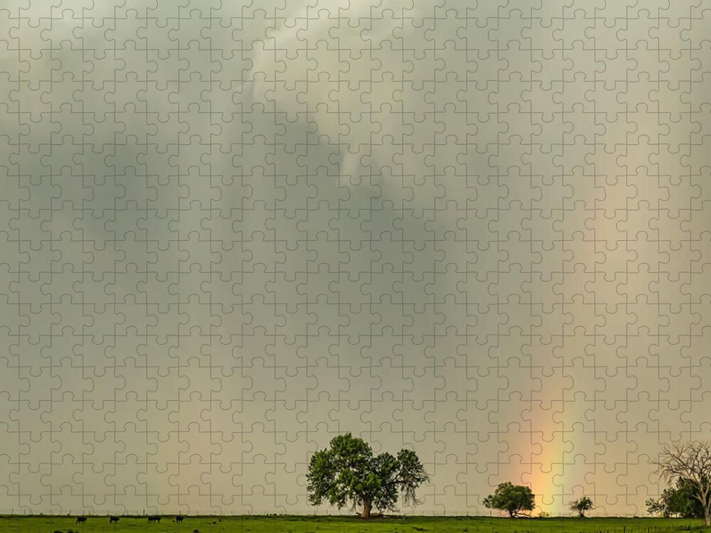 Storm Jigsaw Puzzle featuring the photograph Tornadoes In The Air And Optical Illusions by James BO Insogna