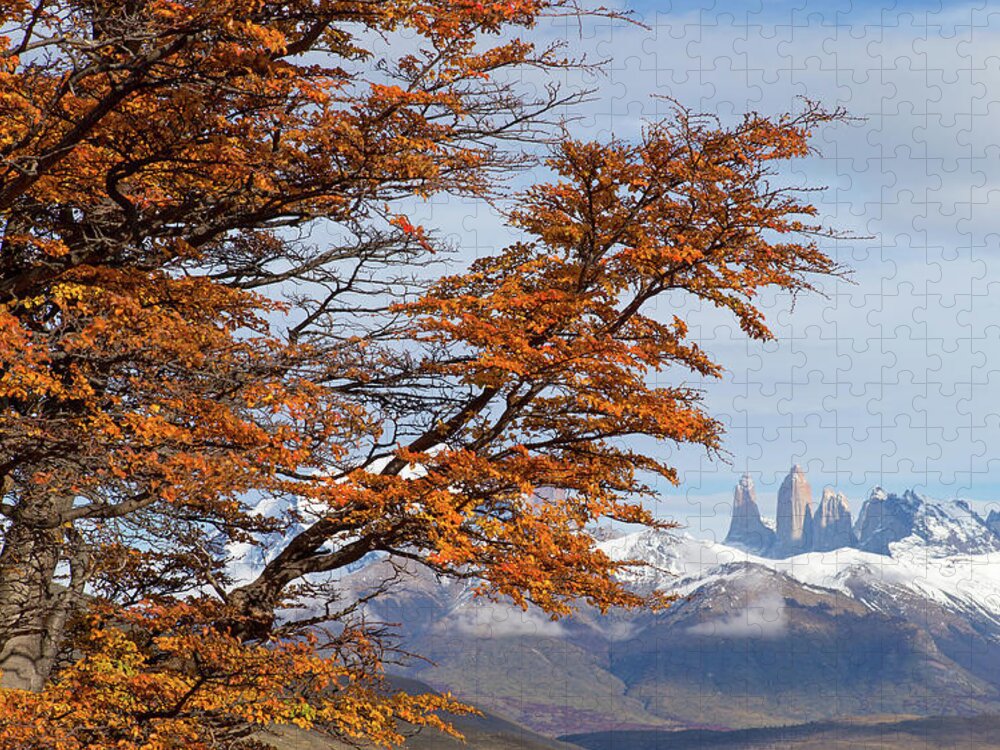 Mountains Jigsaw Puzzle featuring the photograph Torres del Paine in Fall by Max Waugh
