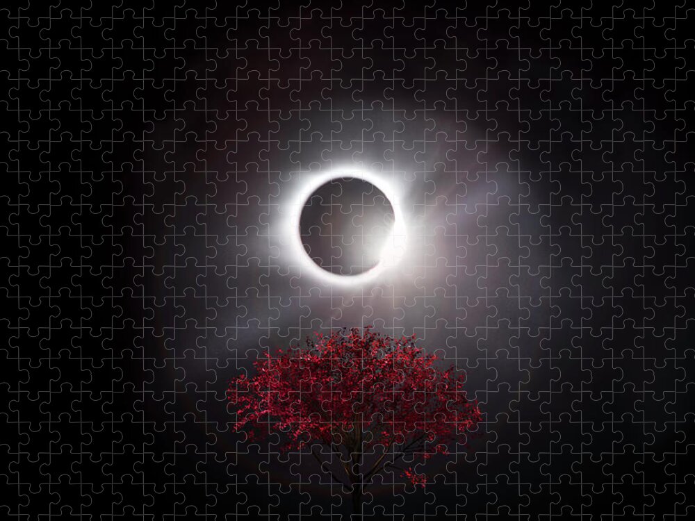 Total Solar Eclipse Diamond Ring Effect Stock Photo by ©KennethKeifer  164407638