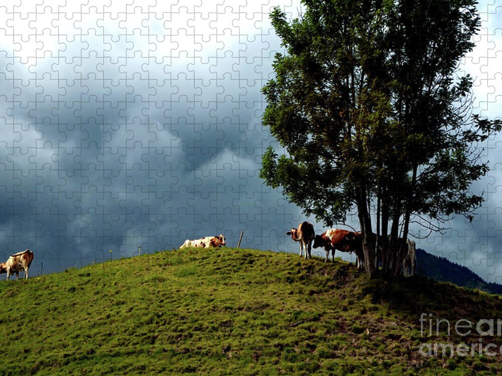 Michelle Meenawong Jigsaw Puzzle featuring the photograph Tranquility Before Storm by Michelle Meenawong