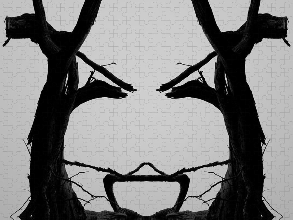 Tree Jigsaw Puzzle featuring the photograph Tree Face I BW SQ by David Gordon