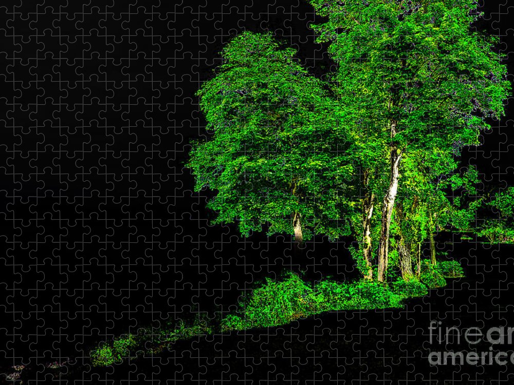 Tree Jigsaw Puzzle featuring the photograph Tree Light by William Norton