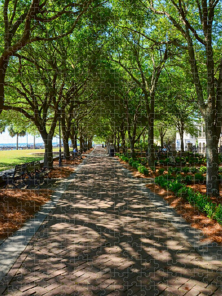 Tree Jigsaw Puzzle featuring the photograph Tree Lined Path by Debra Martz