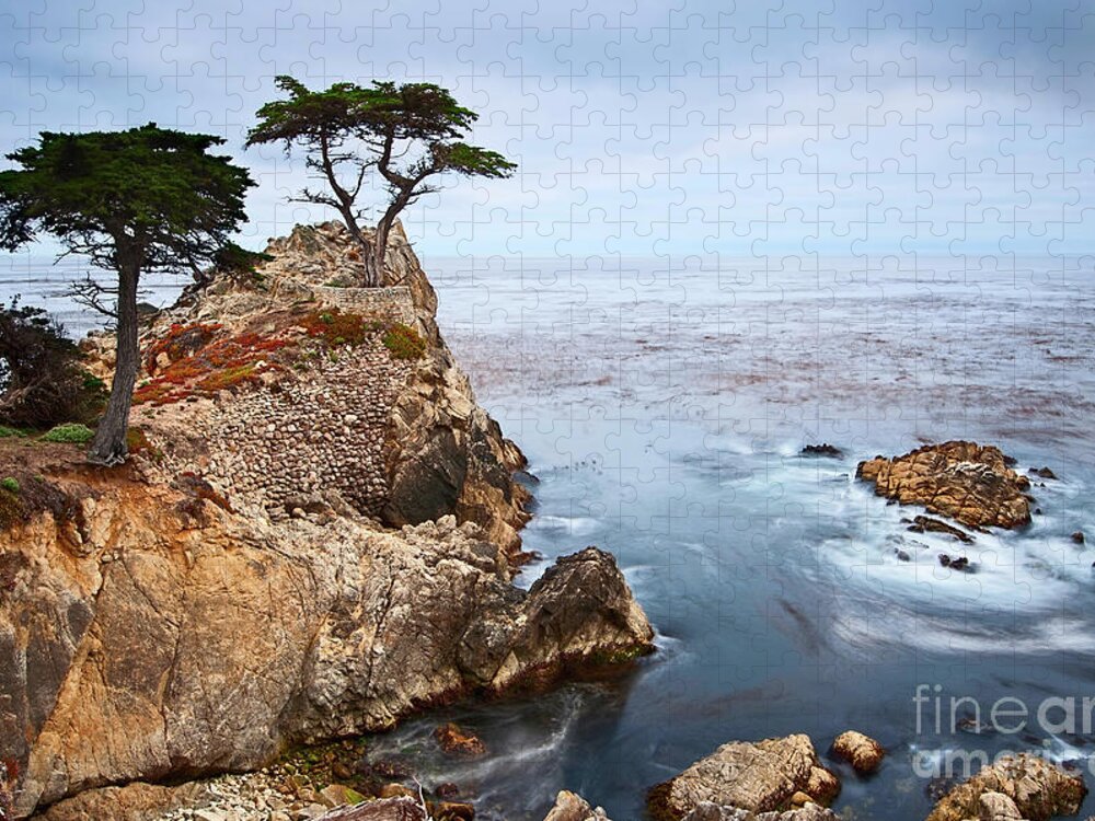 Lone Cypress Jigsaw Puzzle featuring the photograph Tree of Dreams - Lone Cypress tree at Pebble Beach in Monterey California by Jamie Pham