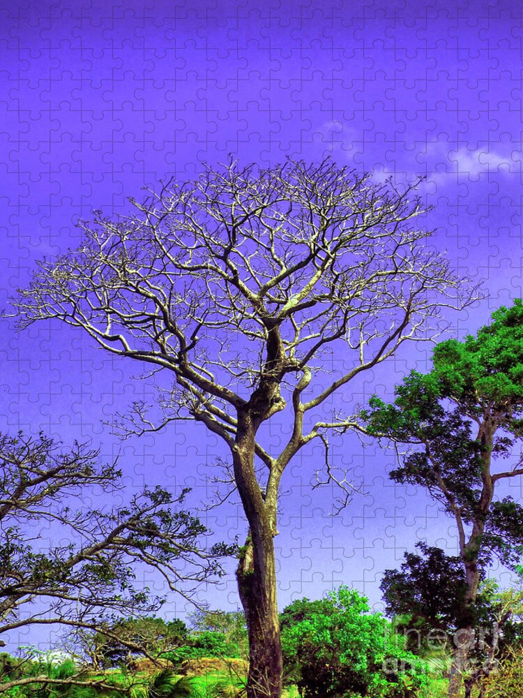 Tree Jigsaw Puzzle featuring the photograph Tree of Life by Onedayoneimage Photography