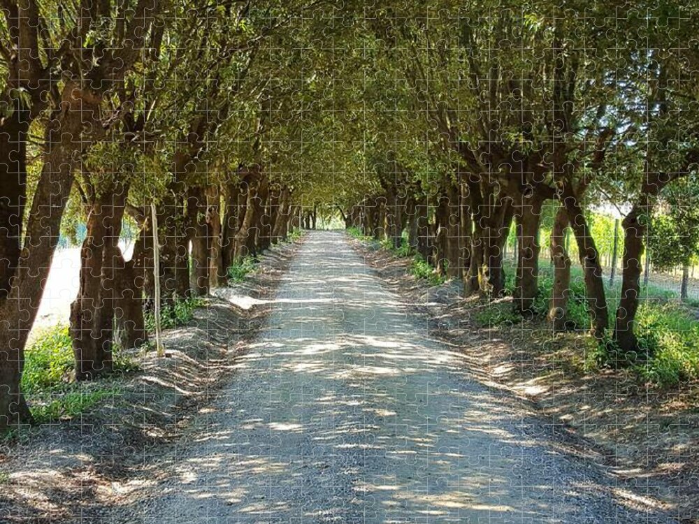 Tuscan Jigsaw Puzzle featuring the photograph Tree Tunnel by Valentino Visentini