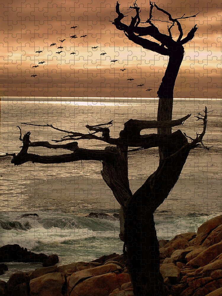 Tree Jigsaw Puzzle featuring the photograph Tree with Birds by Harry Spitz