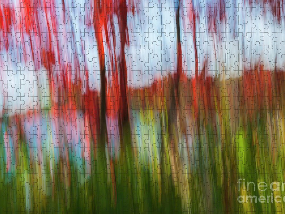 Abstract Jigsaw Puzzle featuring the photograph Trees and lake by Elena Elisseeva