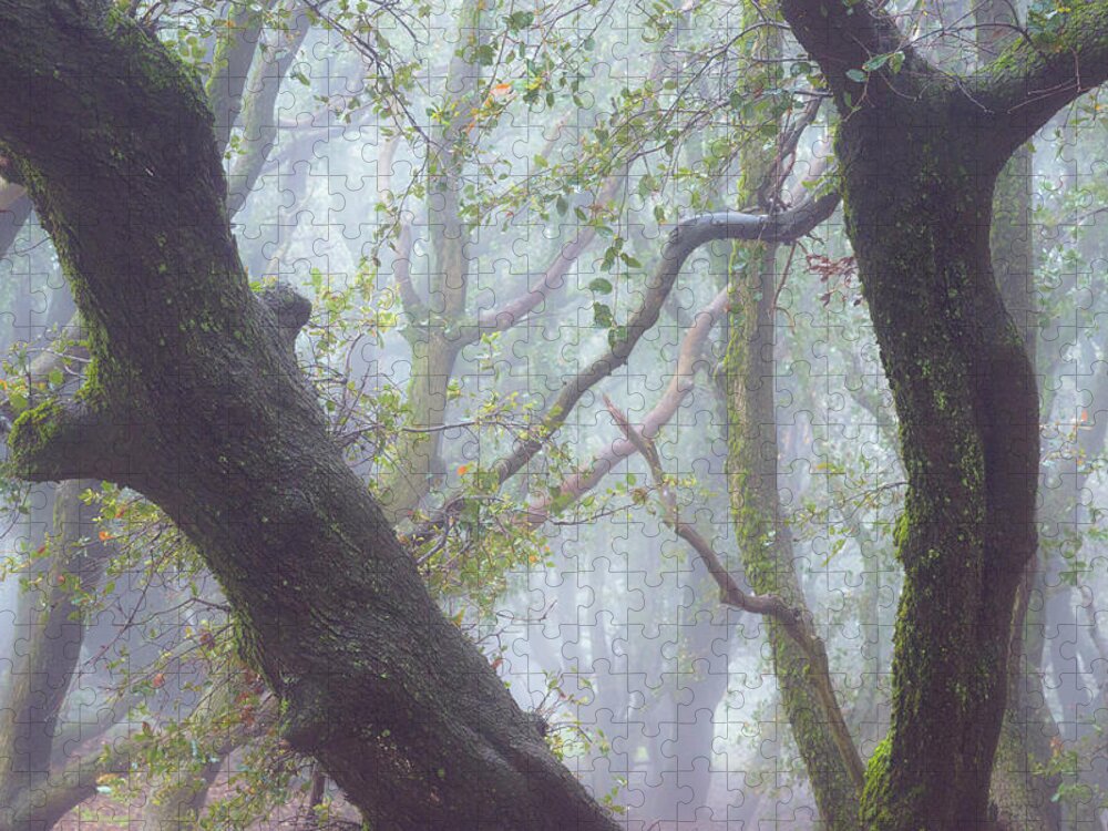Julian Jigsaw Puzzle featuring the photograph Trees in Fog, Volcan Mountain, Julian by Alexander Kunz