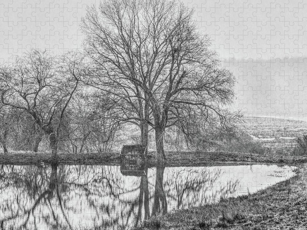 Black And White Jigsaw Puzzle featuring the photograph Trees in fog Kennebunk Maine by David Smith