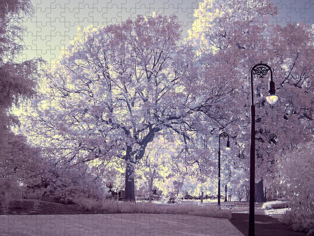 Trees Jigsaw Puzzle featuring the photograph Trees in IR by Charles Hite