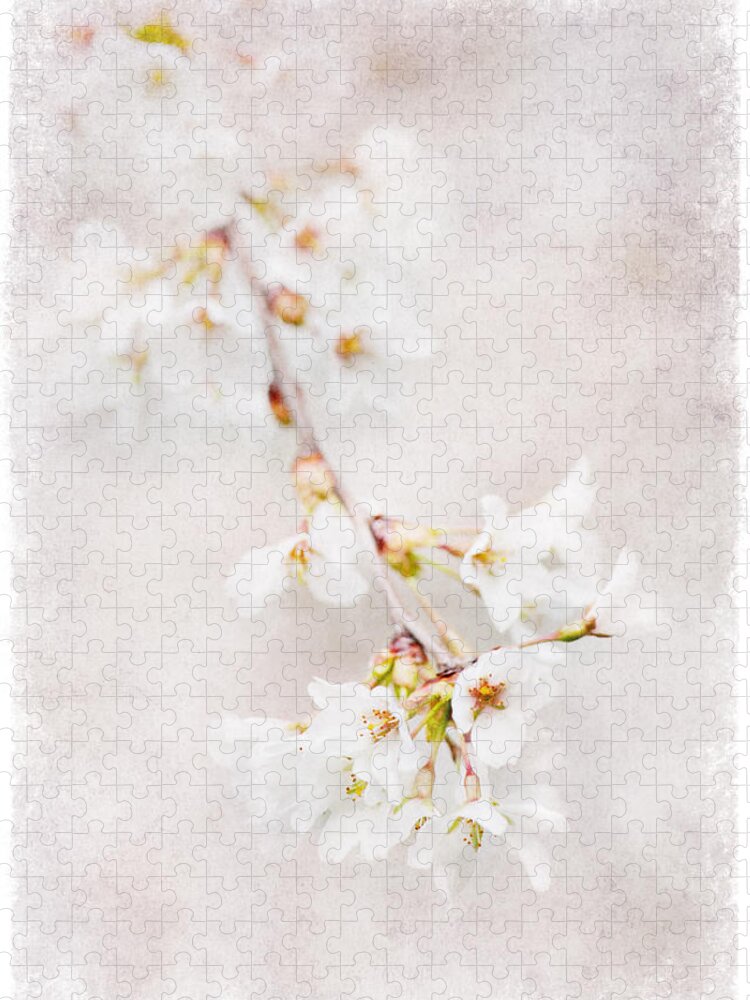 Flowers Jigsaw Puzzle featuring the photograph Triadelphia Cherry Blossoms by Jill Love