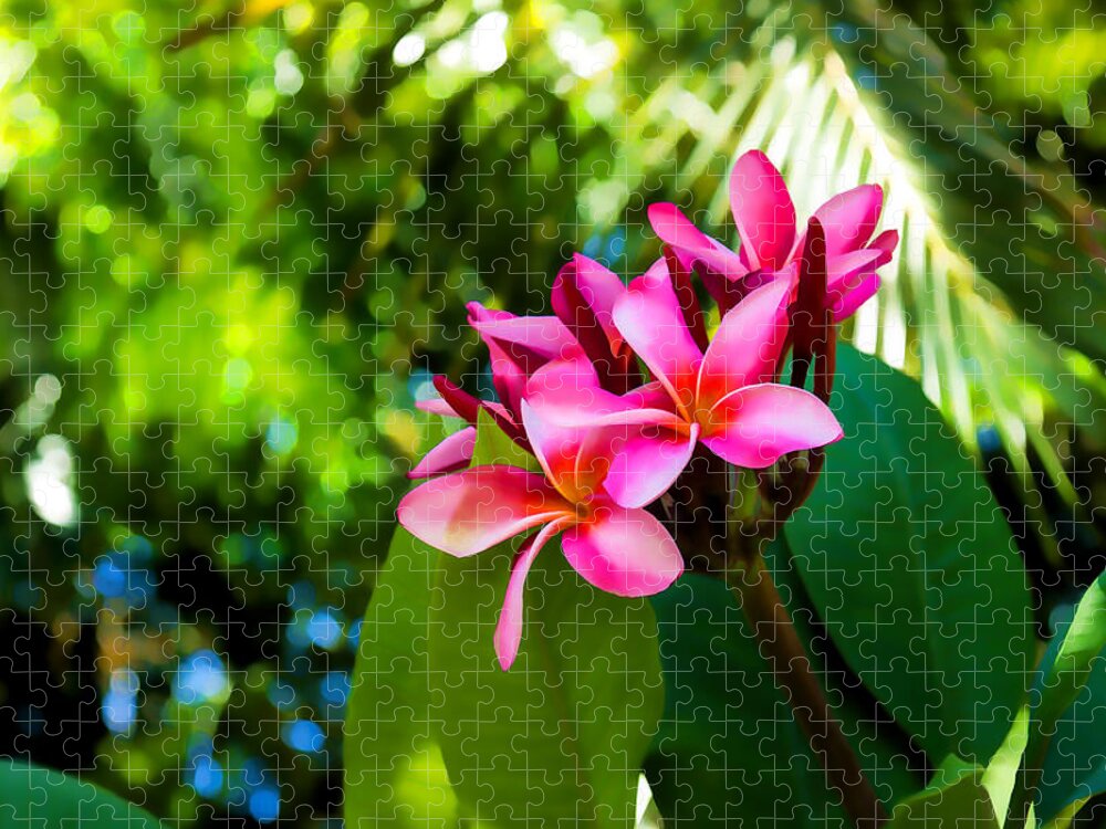 Tropical Impression Jigsaw Puzzle featuring the painting Tropical Impressions - Vivid Pink Plumeria Blossoms by Georgia Mizuleva