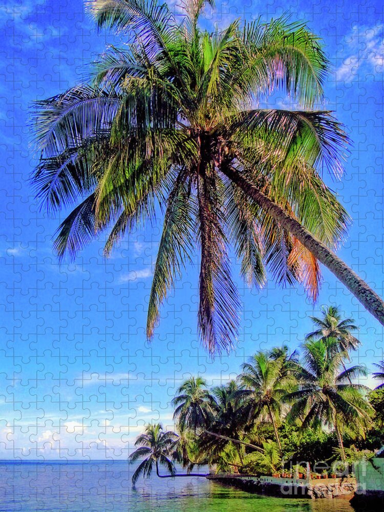 Tree Jigsaw Puzzle featuring the photograph Tropical Palms by Sue Melvin
