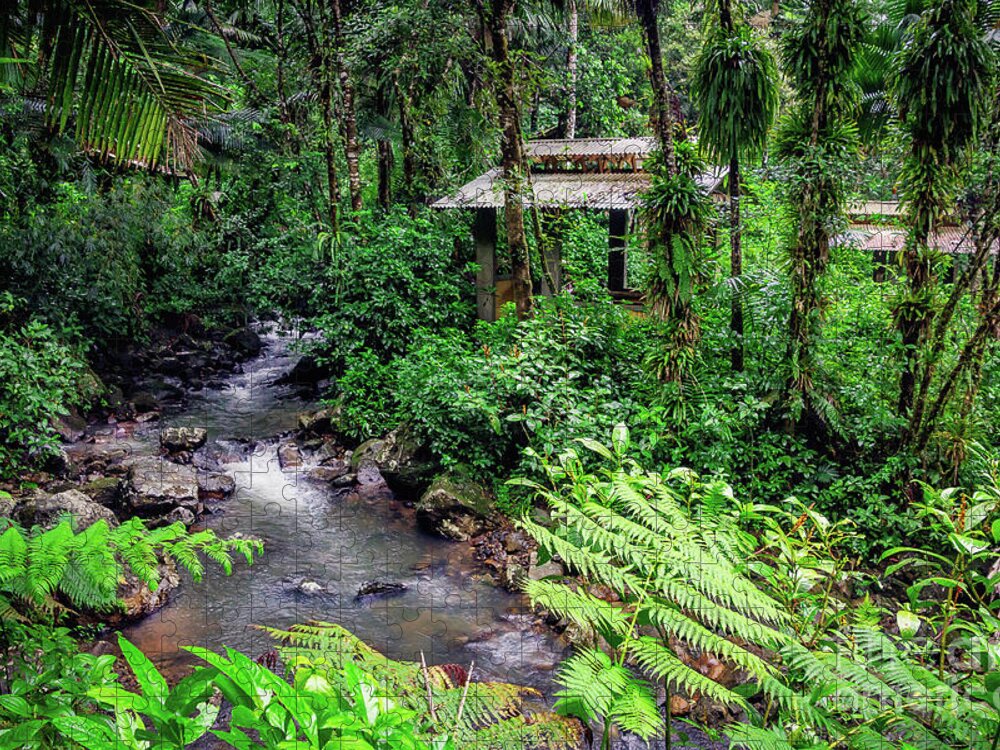 Rainforest Jigsaw Puzzle featuring the photograph Tropical Rainforest by Joan McCool