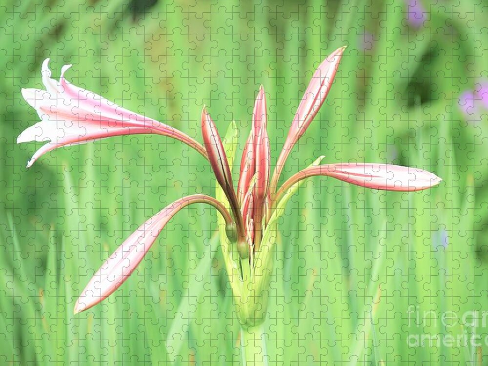 Flowers Jigsaw Puzzle featuring the photograph Trumpet by Merle Grenz