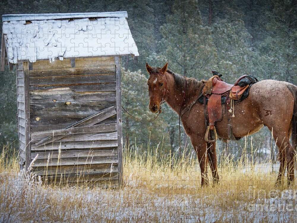 America Jigsaw Puzzle featuring the photograph Trusty Horse by Inge Johnsson