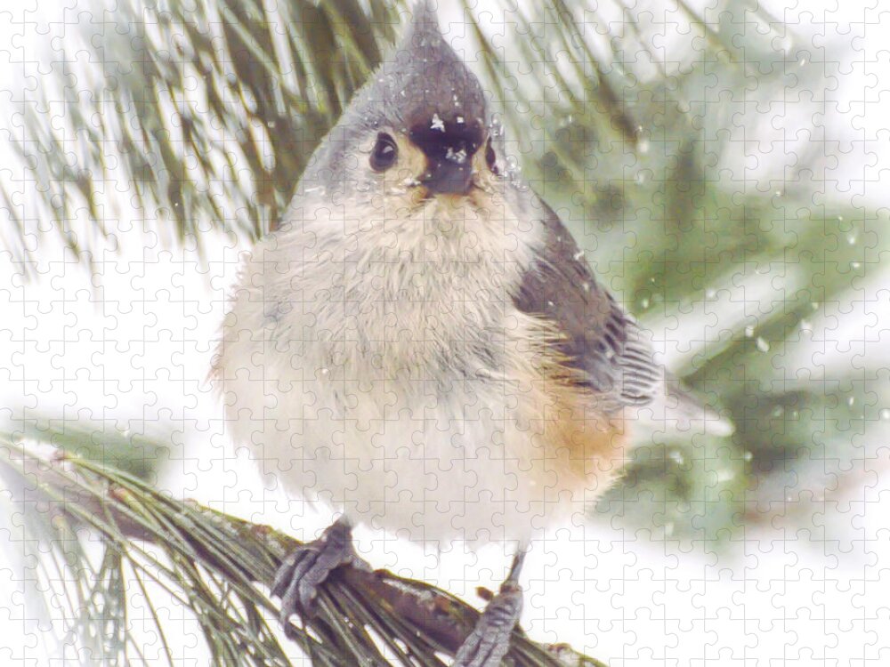 Tufted Titmouse Jigsaw Puzzle featuring the photograph Tufted Titmouse Snow Face by Kerri Farley