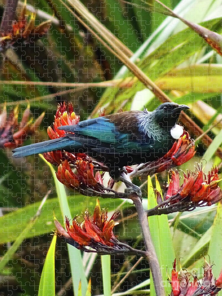 Tui Jigsaw Puzzle featuring the photograph Tui in Flax by Angela DeFrias