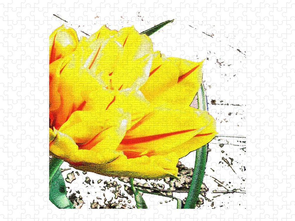Tulip Jigsaw Puzzle featuring the photograph Tulip 3 by Vesna Martinjak