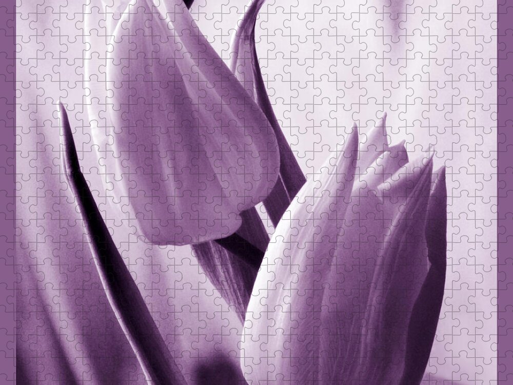 Tulip Jigsaw Puzzle featuring the photograph Tulip Purple Tint. by Terence Davis