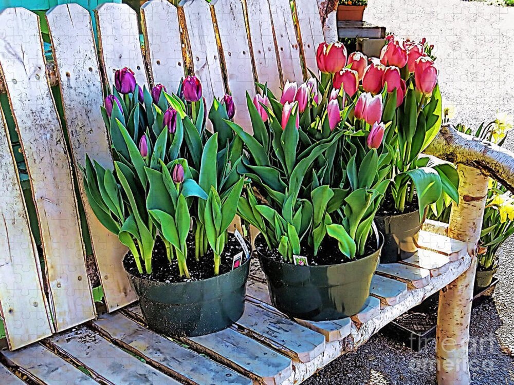 Tulips For Sale Jigsaw Puzzle featuring the photograph Tulips for Sale by Janice Drew