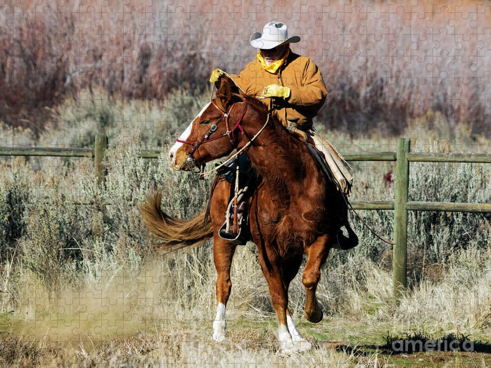 Cowboy Jigsaw Puzzle featuring the photograph Turn Right by Michael Dawson