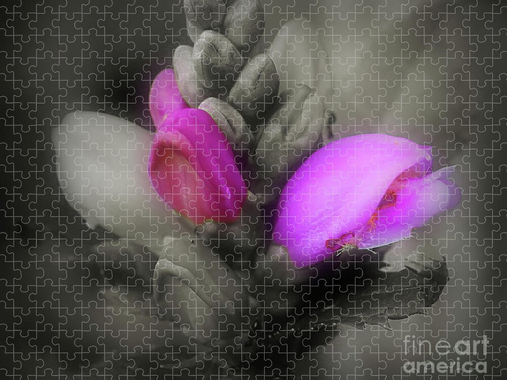 Turtlehead Jigsaw Puzzle featuring the photograph Turtlehead Flower by Smilin Eyes Treasures