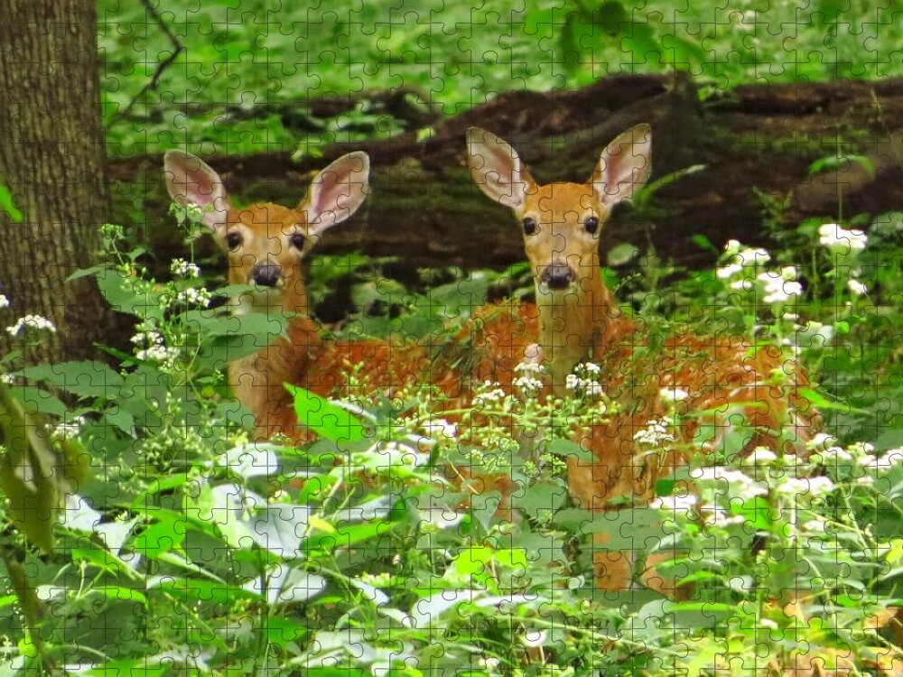 Deer Jigsaw Puzzle featuring the photograph Twins in the Woods by Lori Frisch