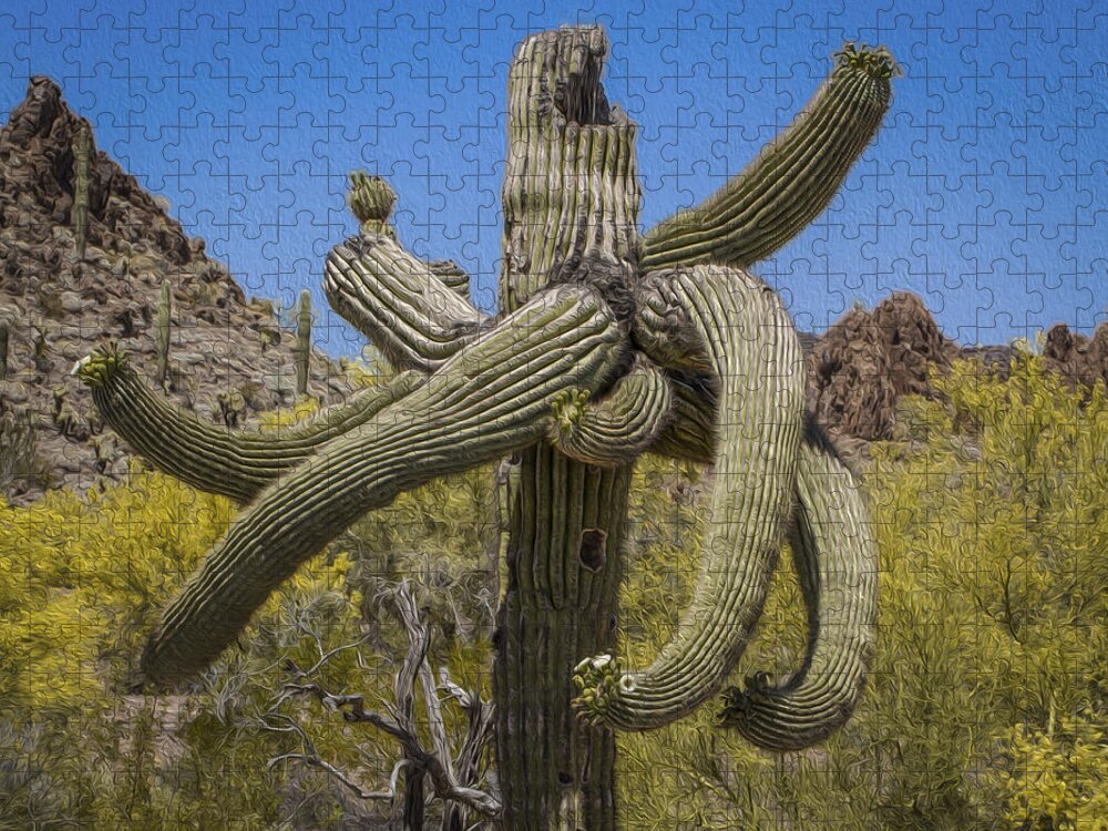 Jean Noren Jigsaw Puzzle featuring the photograph Twisted Saguaro by Jean Noren