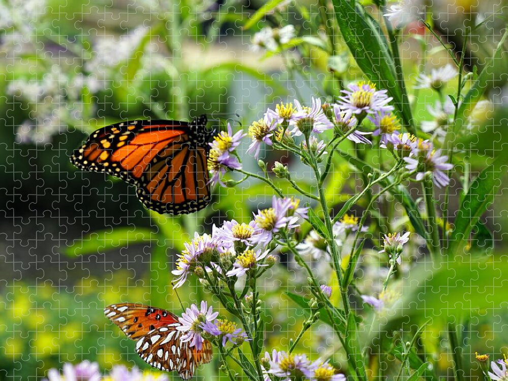 Butterflys Jigsaw Puzzle featuring the photograph Two Autumn Butterflys by Kathy Barney