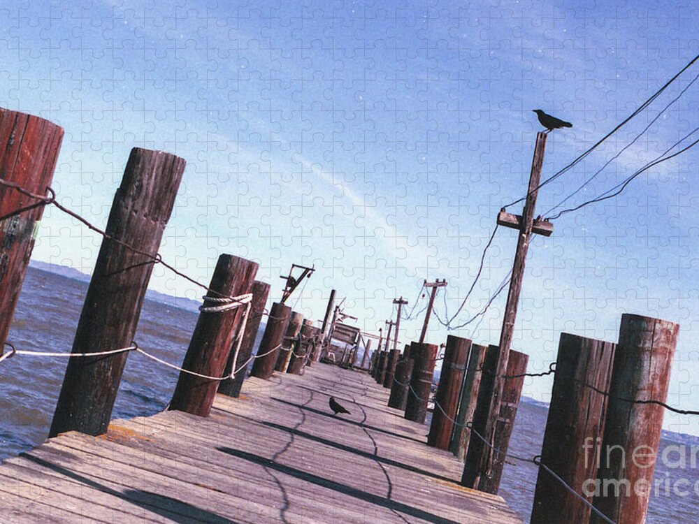 Pier Jigsaw Puzzle featuring the photograph Two Birds on a Pier by Ana V Ramirez