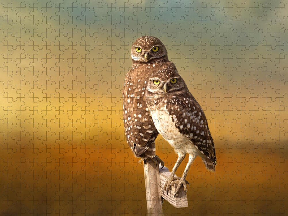 Owl Jigsaw Puzzle featuring the photograph Two Of Us by Kim Hojnacki