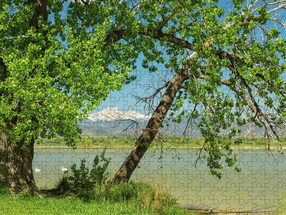 May Jigsaw Puzzle featuring the photograph Two Pelican Twin Peaks Springtime View by James BO Insogna