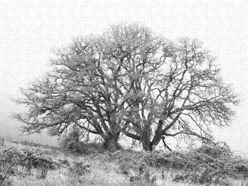 Fog Jigsaw Puzzle featuring the photograph Two Trees by Catherine Avilez