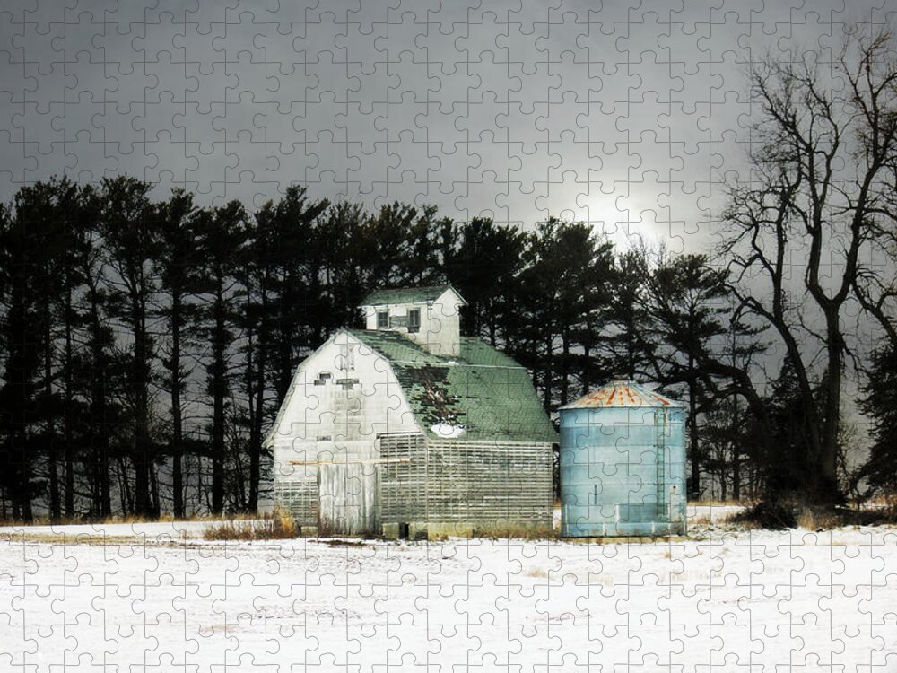 Barn Jigsaw Puzzle featuring the photograph Twos Company by Julie Hamilton