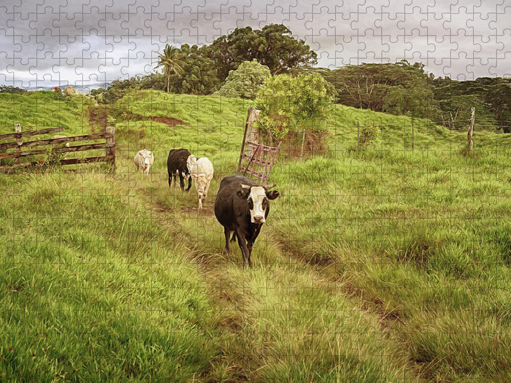 Cows Jigsaw Puzzle featuring the photograph Upcountry Ranch by Susan Rissi Tregoning