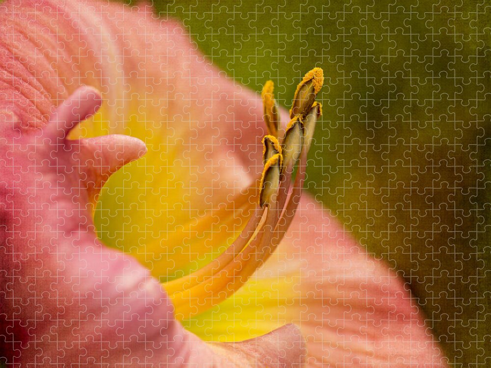 Lily Jigsaw Puzzle featuring the photograph Uplifting Lily by Mary Jo Allen