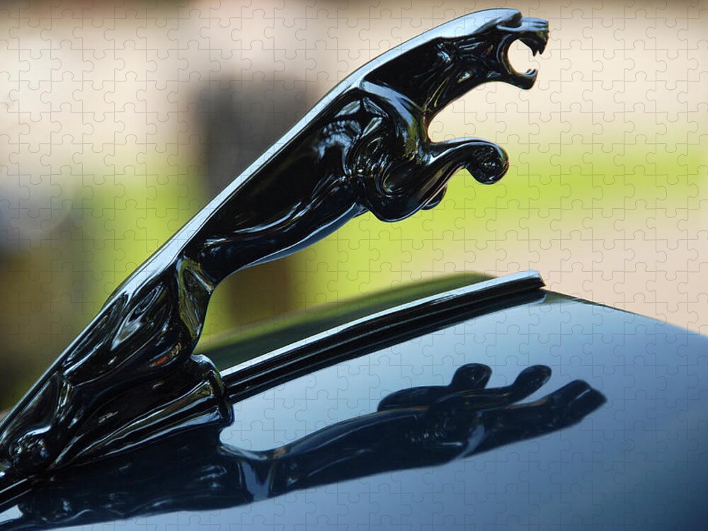 Automotive Details Jigsaw Puzzle featuring the photograph Upperclass Cat by John Schneider