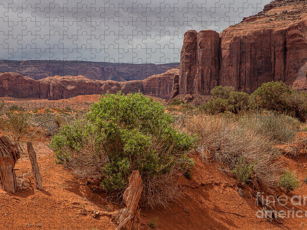 Monument Valley Print Jigsaw Puzzle featuring the photograph Valley of God by Jim Garrison