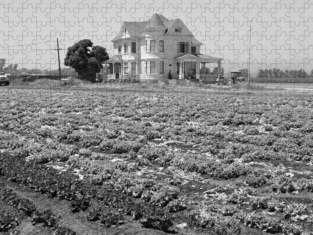 Victorian Jigsaw Puzzle featuring the photograph Victorian Farm House 4th of July Watsonville California by Kathy Anselmo