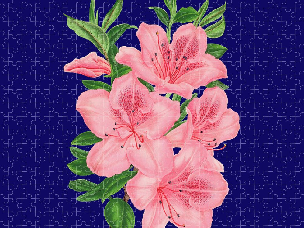 Pink And Navy Jigsaw Puzzle featuring the digital art Victorian Pink Flowers on Navy by Leah McPhail